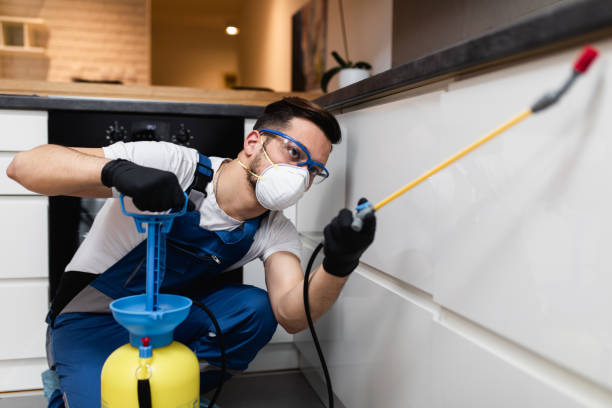 Best Wasp Removal Services  in Canby, MN
