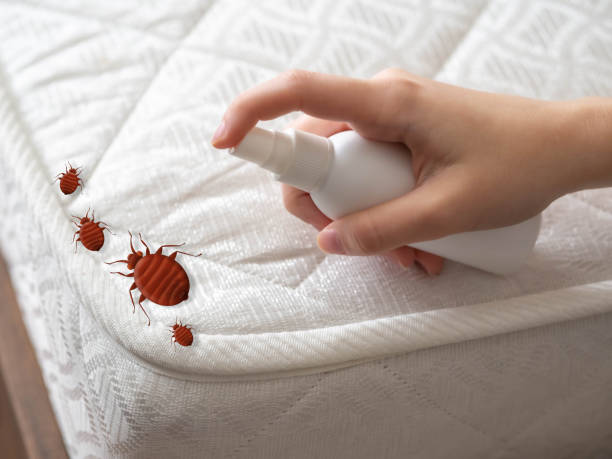 Best Emergency Pest Control  in Canby, MN